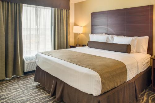 在meiguo.com看到的Cobblestone Inn and Suites - Ashland的介绍图片