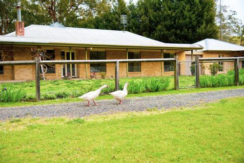 This photo about Farm Club Australia shared on HyHotel.com