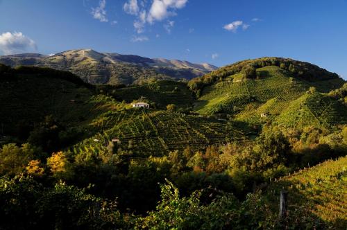 I giardini segreti di Villa Marcello Marinelli in Cison Di Valmarino I giardini segreti di Villa Marcello Marinelli in Cison Di Valmarino