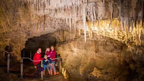 This photo about Palm Court Motel shared on HyHotel.com