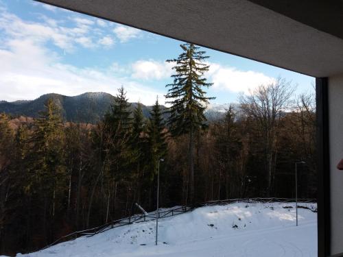 This photo about Silver Mountain shared on HyHotel.com