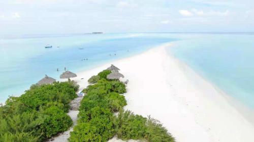 Attractions, Thoddoo Inn in Alifu Alifu Atoll Attractions, Thoddoo Inn in Alifu Alifu Atoll