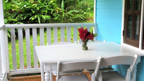 Instalações, Chez Ophelia Cottage Apartments in Saint George Instalações, Chez Ophelia Cottage Apartments in Saint George