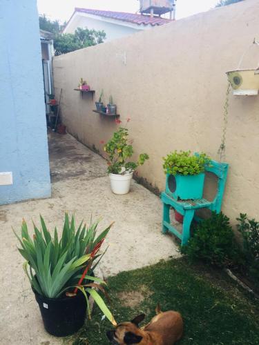 Benito Soria 137 in Santa Rosa De Calamuchita Benito Soria 137 in Santa Rosa De Calamuchita