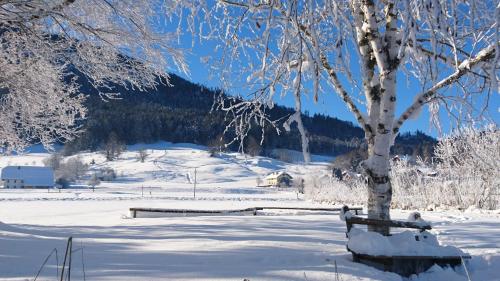 Fumerhof in Hof Bei Salzburg Fumerhof in Hof Bei Salzburg