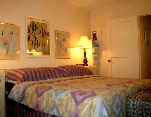 在meiguo.com看到的Venice Villas on the Beach的介绍图片