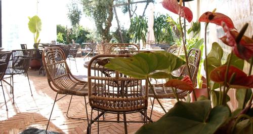 Κήπος, Avocado Hôtel Restaurant (Avocado Hotel Restaurant) in Βανς Κήπος, Avocado Hôtel Restaurant (Avocado Hotel Restaurant) in Βανς