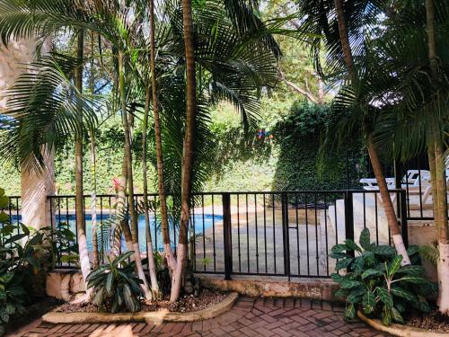 Swimming pool, La Buena Vida 2 in Tamarindo Swimming pool, La Buena Vida 2 in Tamarindo