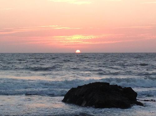 Sweet Valley Cottages Arambol