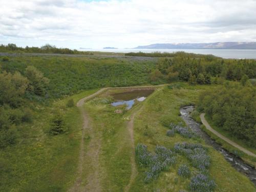 This photo about Puffin Palace Guesthouse shared on HyHotel.com