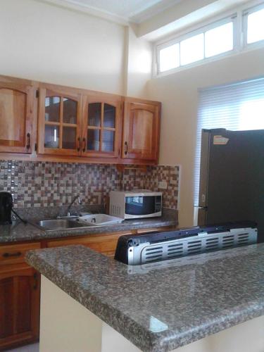 Kitchen, Sea Shell Palms, Ocho Rios in Ocho Rios Kitchen, Sea Shell Palms, Ocho Rios in Ocho Rios
