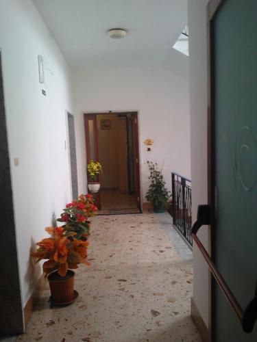 Instalaciones, B&B Vittoria in Maiori Instalaciones, B&B Vittoria in Maiori