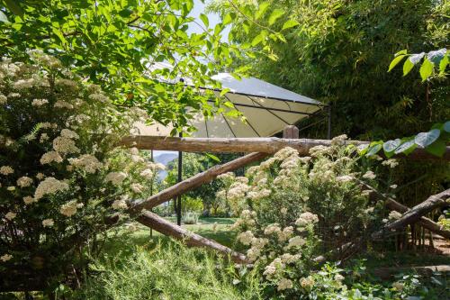 This photo about Villa Don Camillo shared on HyHotel.com