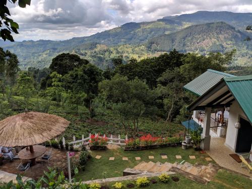 حديقة, Florence Cottage in جومارا حديقة, Florence Cottage in جومارا