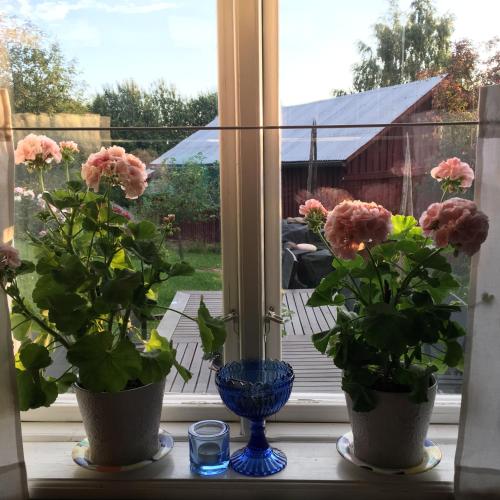 Citymokki in Kristiinankaupunki Citymokki in Kristiinankaupunki