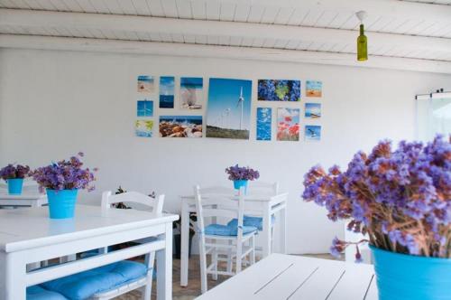 This photo about Sardunya Hotel shared on HyHotel.com