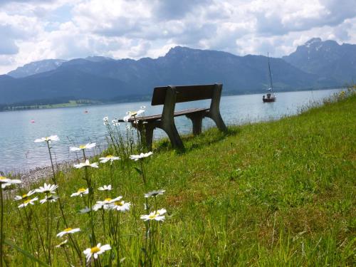 Attractions, Chalet SEE-Idyll in Rieden am Forggensee Attractions, Chalet SEE-Idyll in Rieden am Forggensee
