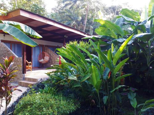 taman, Playa Bluff Lodge in Bocas del Toro taman, Playa Bluff Lodge in Bocas del Toro