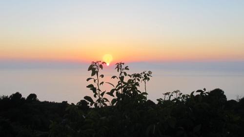 This photo about Mariquita shared on HyHotel.com