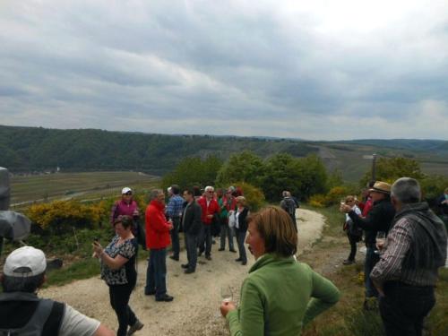 Holiday Home Weingut Mertes in Minheim Holiday Home Weingut Mertes in Minheim