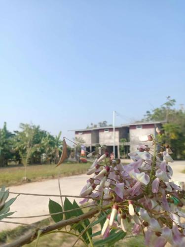 เซราะกราว บูติก รีสอร์ท Sohground Boutique Resort in Prakhon Chai เซราะกราว บูติก รีสอร์ท Sohground Boutique Resort in Prakhon Chai