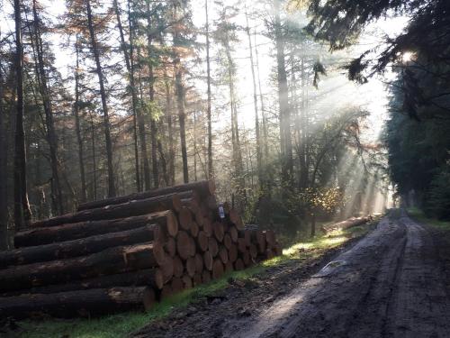 Wyposażenie, Lasca in Schoonoord Wyposażenie, Lasca in Schoonoord