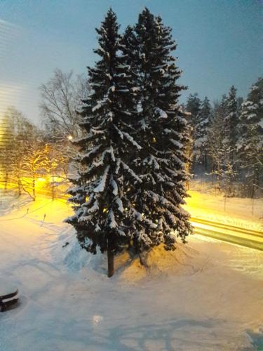 Pogled, Apartment Kivisto with balcony, 2 km from the center free parking in Jyvaskyla Pogled, Apartment Kivisto with balcony, 2 km from the center free parking in Jyvaskyla