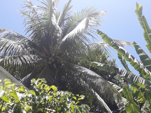 This photo about Vivendas Marapendi shared on HyHotel.com