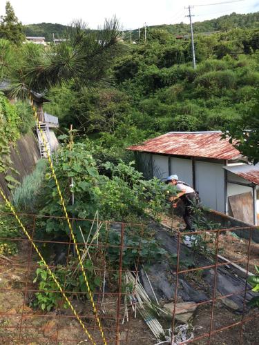 Yuzu no Sato Izumi / Vacation STAY 15885 in Mima Yuzu no Sato Izumi / Vacation STAY 15885 in Mima