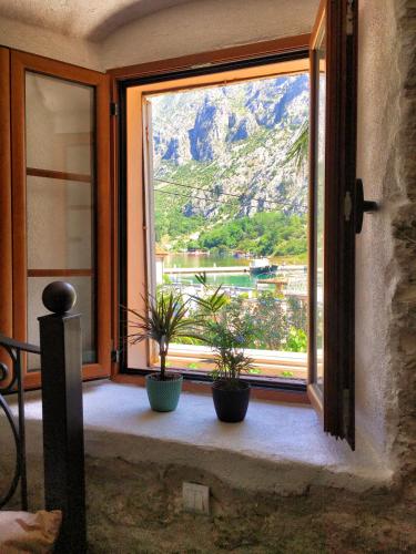 MARETA II - waterfront in Ljuta MARETA II - waterfront in Ljuta