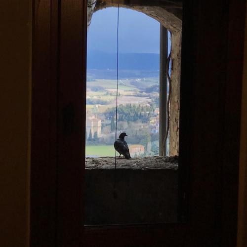 منظر, Residenza Teatro Antico in تودي منظر, Residenza Teatro Antico in تودي