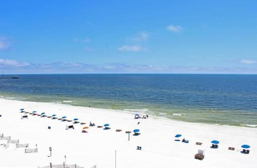 在meiguo.com看到的Whaler 7C的介绍图片