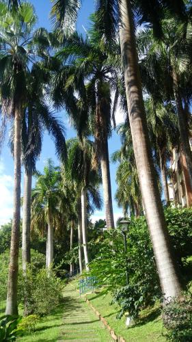Kert, Condominio Girardot Resort in Ricaurte Kert, Condominio Girardot Resort in Ricaurte