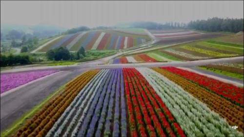 This photo about Ritz Garden Niji shared on HyHotel.com