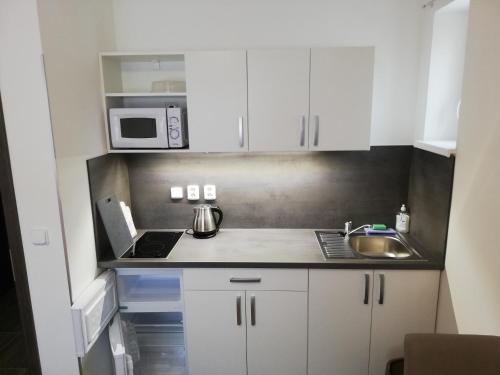 Apartmany Agatha in Loucna Nad Desnou Apartmany Agatha in Loucna Nad Desnou