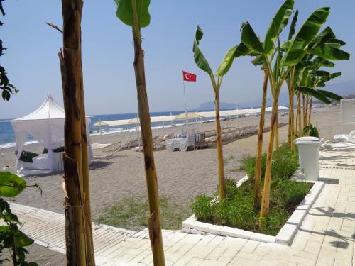 strand, Graf Victor Hotel in Kestel strand, Graf Victor Hotel in Kestel