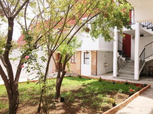 Garden, Kukul'ik Studios & Workspace in San Cristobal De Las Casas Garden, Kukul'ik Studios & Workspace in San Cristobal De Las Casas