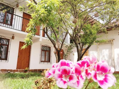 Garden, Kukul'ik Studios & Workspace in San Cristobal De Las Casas Garden, Kukul'ik Studios & Workspace in San Cristobal De Las Casas