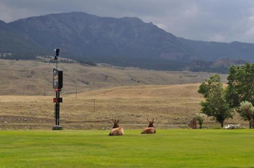 View, Yellowstone Village Inn and Suites in Gardiner (MT) View, Yellowstone Village Inn and Suites in Gardiner (MT)