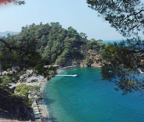 This photo about Turtle Apart shared on HyHotel.com