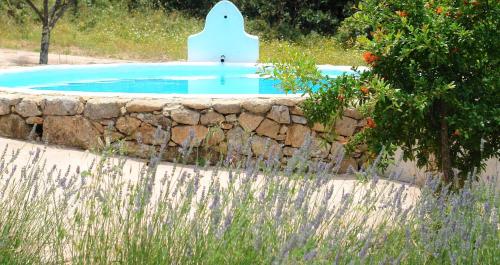 Piscina, Quinta Do Marvao in Marvao Piscina, Quinta Do Marvao in Marvao