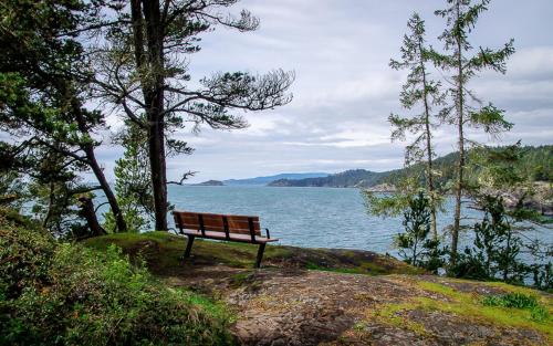 Beach, Stunning Studio in Heart of East Sooke in Sooke (BC) Beach, Stunning Studio in Heart of East Sooke in Sooke (BC)