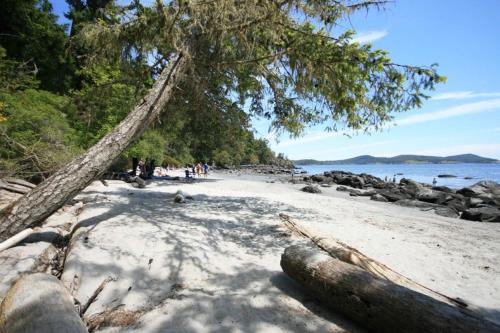 Beach, Stunning Studio in Heart of East Sooke in Sooke (BC) Beach, Stunning Studio in Heart of East Sooke in Sooke (BC)