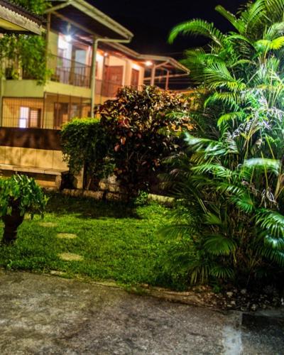 tuin, Tonys Guest House in Port Of Spain tuin, Tonys Guest House in Port Of Spain