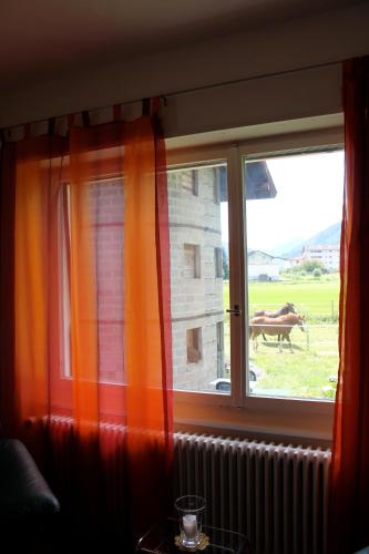 razgled, Casa Rosmarino in Gordola razgled, Casa Rosmarino in Gordola