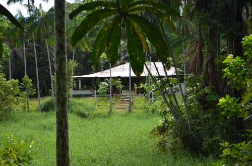 Hôtel Reserva Yasai