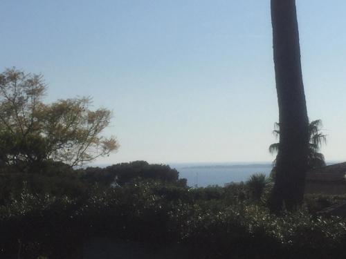 Magnifique Villa de prestige Antibes/Juan-les-Pins in Trois Moulins Magnifique Villa de prestige Antibes/Juan-les-Pins in Trois Moulins