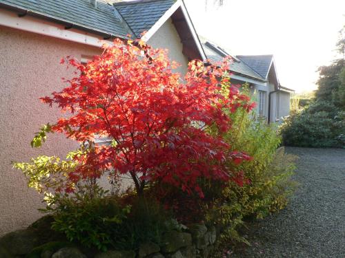 Garden, Bridge of Bennie Cottage in Banchory Garden, Bridge of Bennie Cottage in Banchory