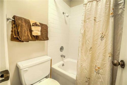 在meiguo.com看到的Timber Run 303的介绍图片