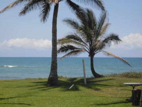 Hotel Cabo Alto
